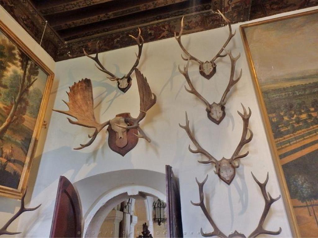 149 CHATEAU DE BRISSAC MAINE ET LOIRE 2016 N1_000014.jpg